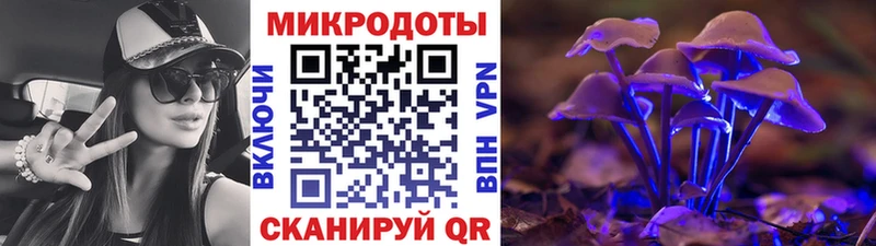 Купить где  Гай  Псилоцибиновые грибы мухоморы 